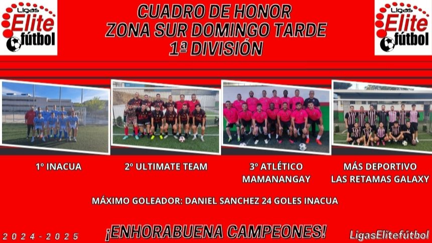 CUADRO DE HONOR. ZONA SUR DOMINGO TARDE 1ª DIVISIÓN